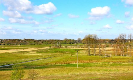 4 Bed in Halesworth 7