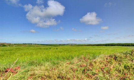 3 Bed in Wadebridge 7