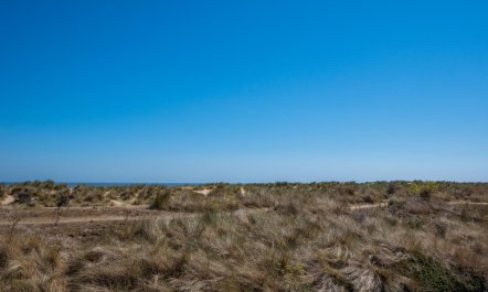 3 Bed in Southwold 6