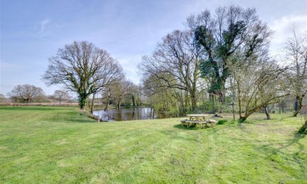 2 Bed in Rolvenden 9