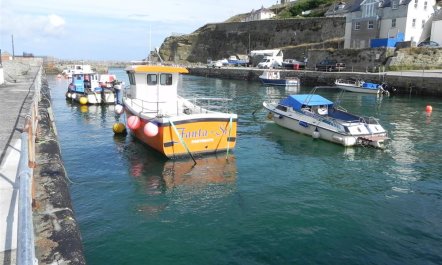 3 Bed in Portreath 7