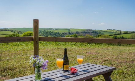 1 Bed in South Molton 9