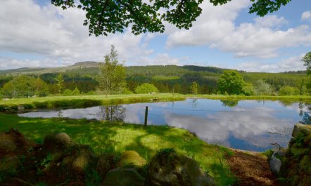 3 Bed in Dolgellau 8