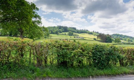 2 Bed in Pateley Bridge 6