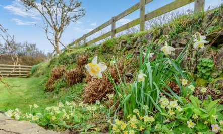 2 Bed in Little Haven 8