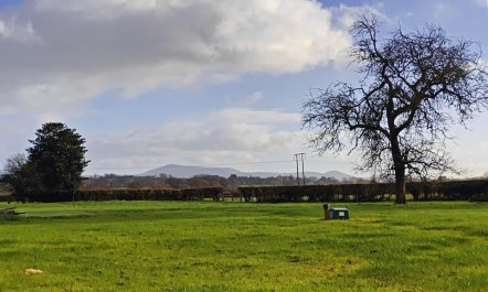 7 Bed in Welshpool 5