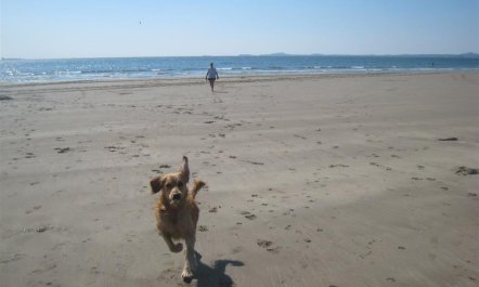 3 Bed in Haverfordwest 6