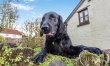 5 Bed in Middle Marwood 4