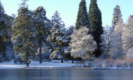 1 Bed in Goudhurst 9