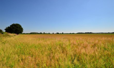 1 Bed in Banningham 9