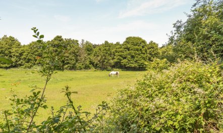 3 Bed in Dunwich 4