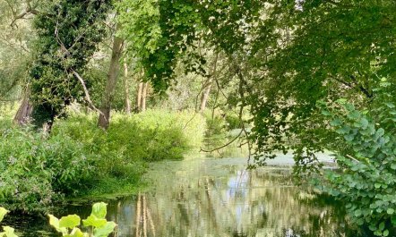 1 Bed in Letheringham 4