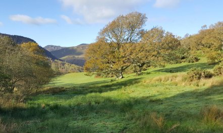 3 Bed in Llanrhychwyn 2