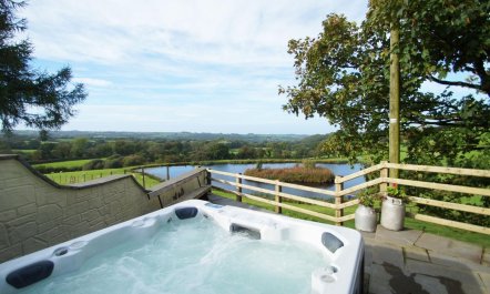 2 Bed in New Quay 0