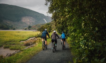 1 Bed in Blaenau Ffestiniog 5