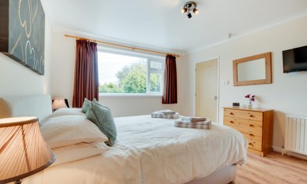 4 Bed in Appledore 7