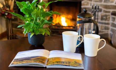 3 Bed in Machynlleth 3