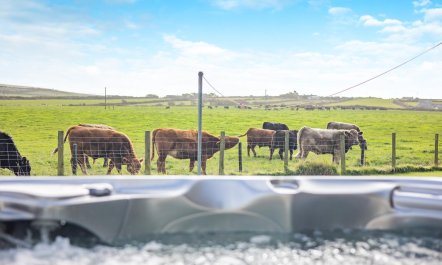 3 Bed in Aberdaron 4