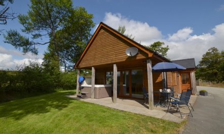 2 Bed in Llandrindod Wells 7