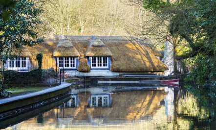 2 Bed in Cockington 2