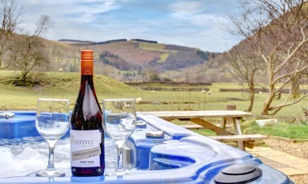 3 Bed in Dinas Mawddwy 1