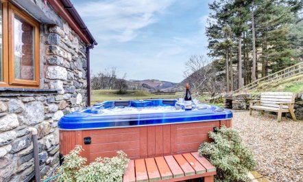 3 Bed in Dinas Mawddwy 5