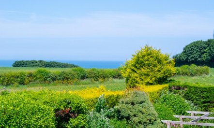 3 Bed in Trimingham 6