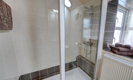 1 Bed in Carmarthen 7