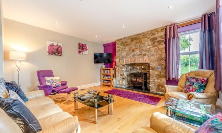 2 Bed in Llandysul 4