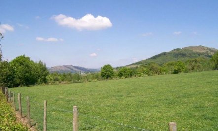 1 Bed in Abergavenny 7