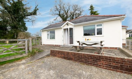 2 Bed in Newton Abbot 2