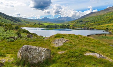 3 Bed in Dolgellau 6