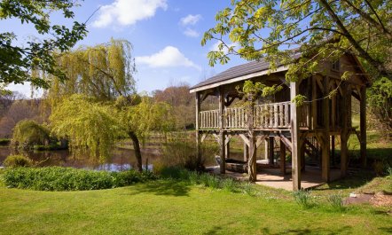 2 Bed in Honiton 1