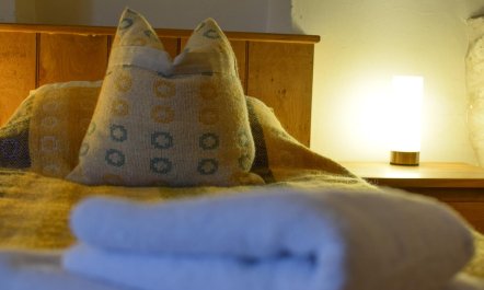 2 Bed in Machynlleth 9