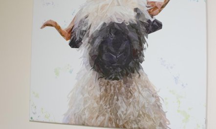 3 Bed in Swansea Valley 3