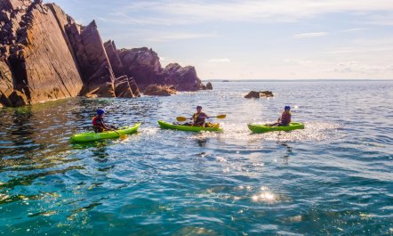 3 Bed in St Davids 2