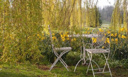 1 Bed in Woodbridge 5