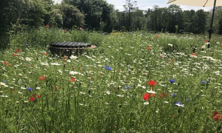 1 Bed in Woodbridge 9