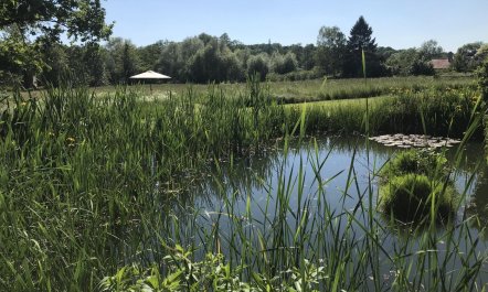 1 Bed in Woodbridge 4