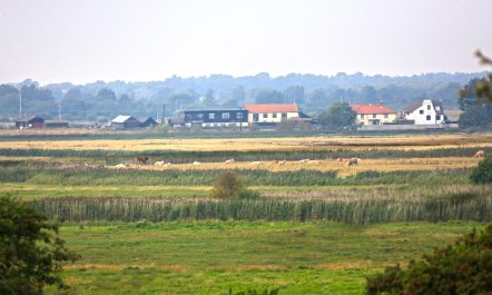 4 Bed in Southwold