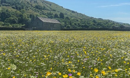 3 Bed in Gunnerside 9