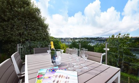 3 Bed in Kingswear 5