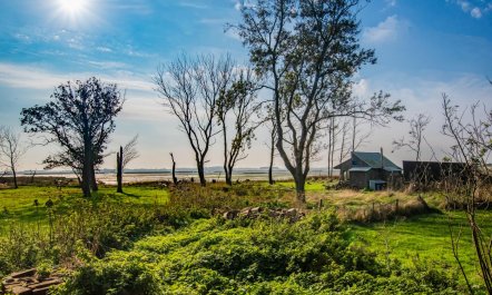 2 Bed in Aldeburgh 3