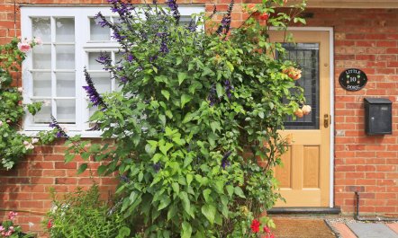 1 Bed in Woodbridge 1