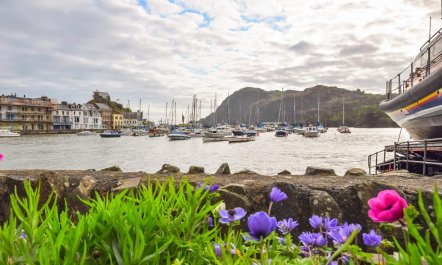 4 Bed in Ilfracombe 1