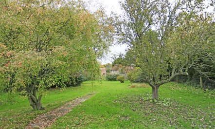 3 Bed in Westleton 5