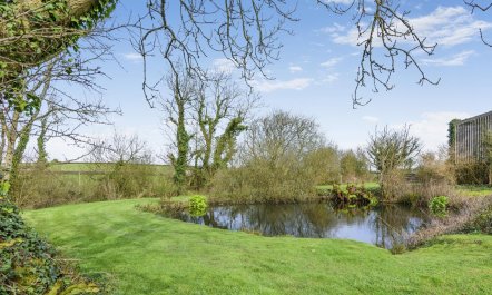 1 Bed in Little Haven 4