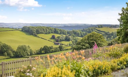 1 Bed in Welshpool 8