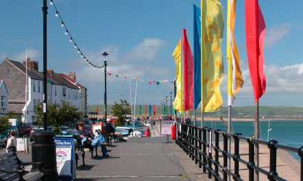 3 Bed in Appledore 6