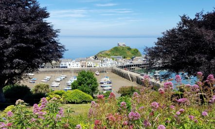 4 Bed in Ilfracombe 1